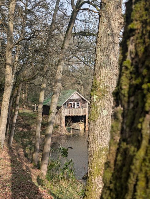 A wooden boathouse with a sloped roof and a small balcony, situated along the edge of a pond or river, surrounded by tall, leafless trees revealing a woodland setting. The trees have rough bark and so